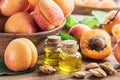 Rosemary Leaf Oil