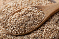 Sesame Oil